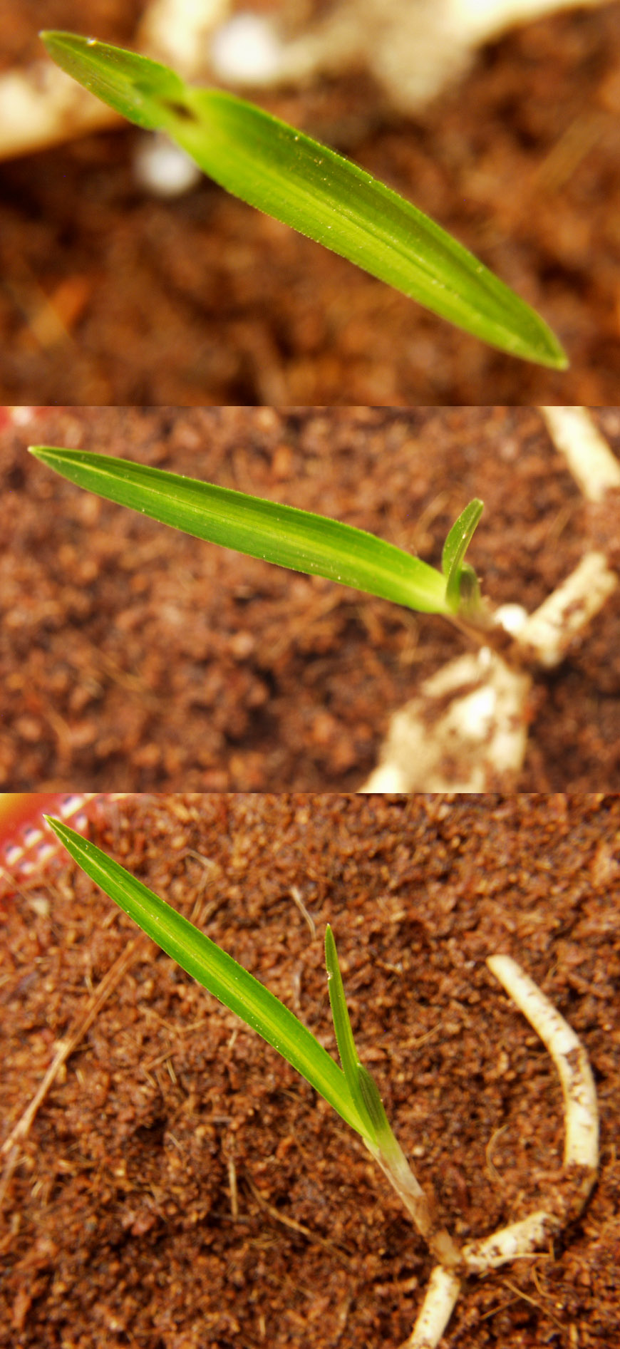 ������ ū������ �� �� �ֽ��ϴ�.