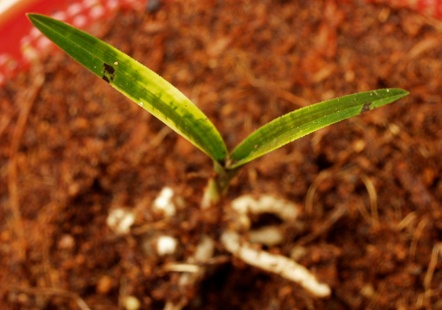 ������ ū������ �� �� �ֽ��ϴ�.