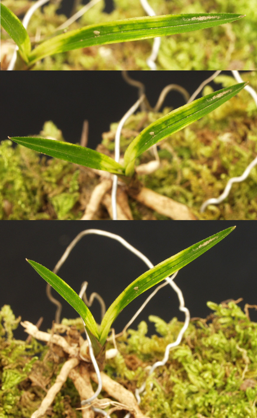 ������ ū������ �� �� �ֽ��ϴ�.