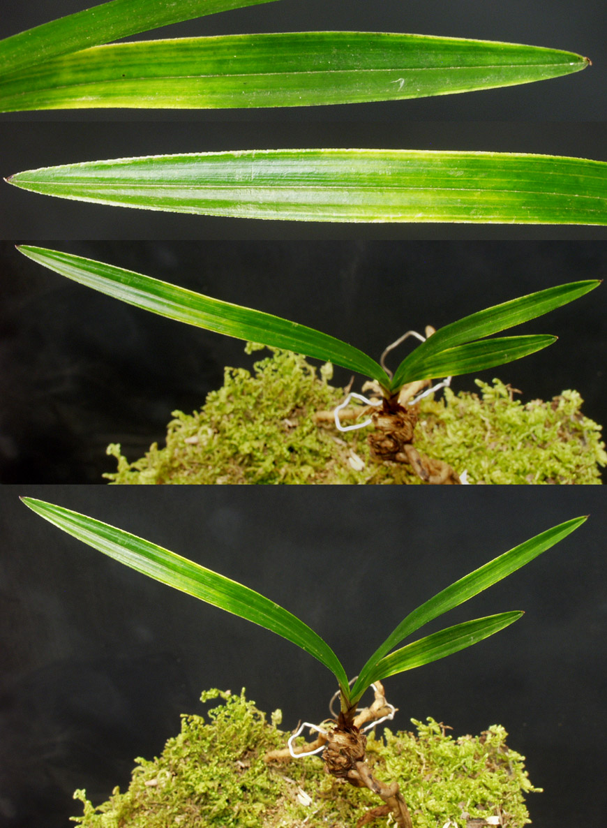 ������ ū������ �� �� �ֽ��ϴ�.