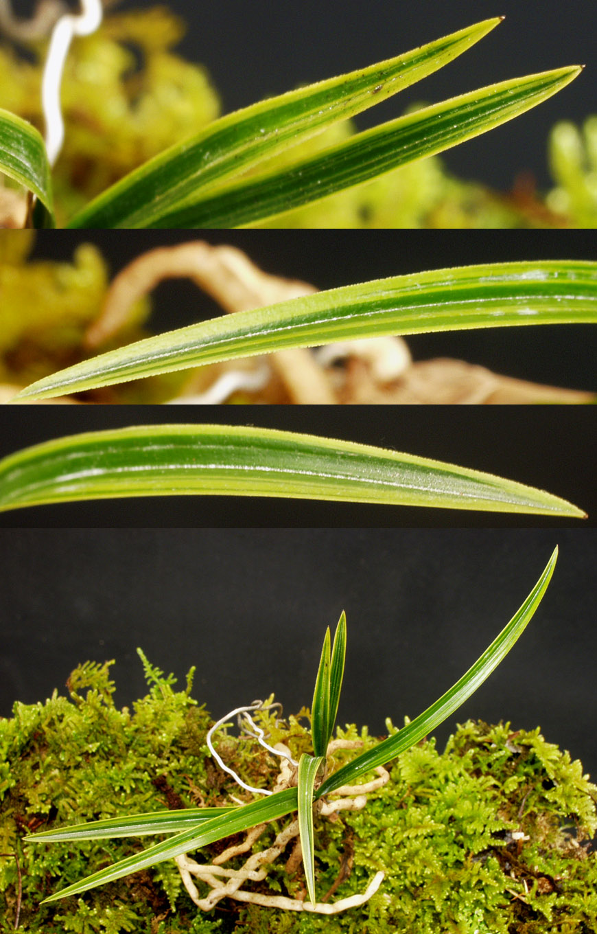 ������ ū������ �� �� �ֽ��ϴ�.