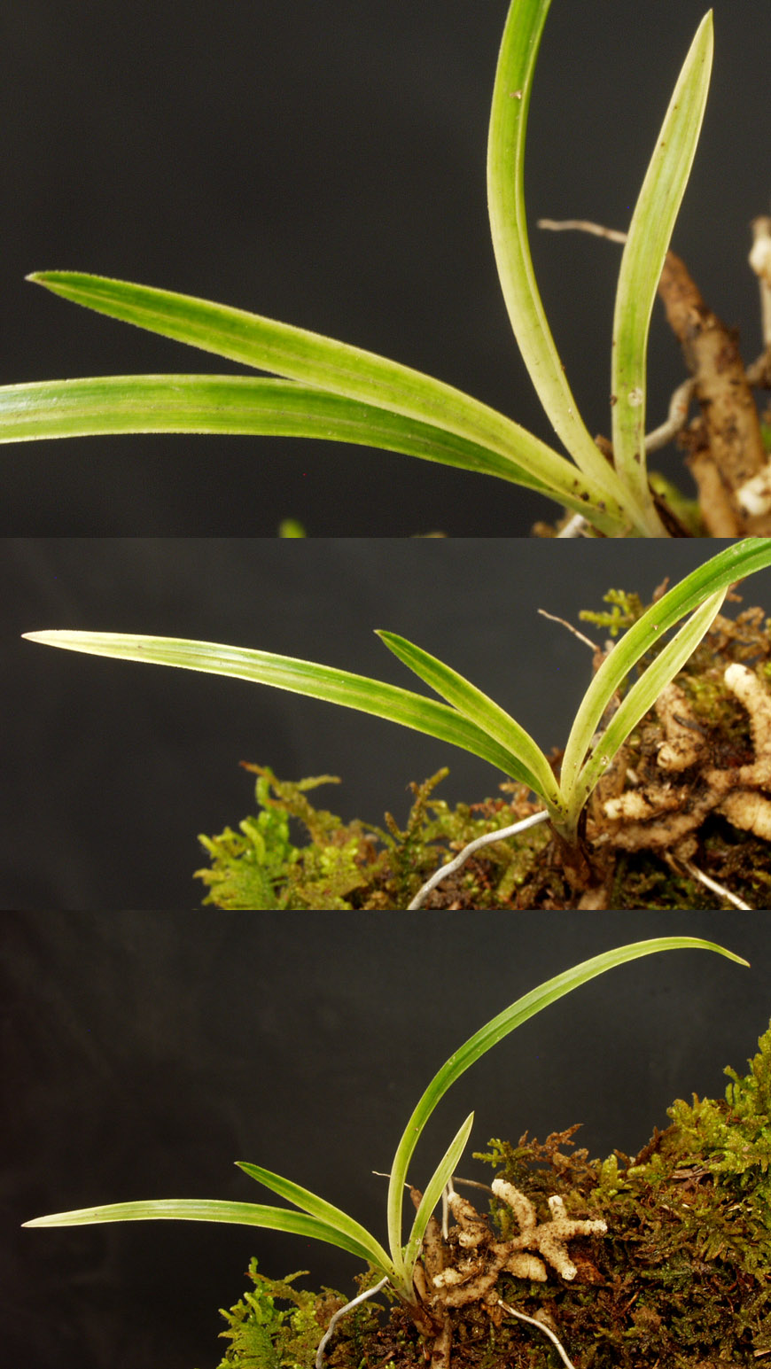 ������ ū������ �� �� �ֽ��ϴ�.