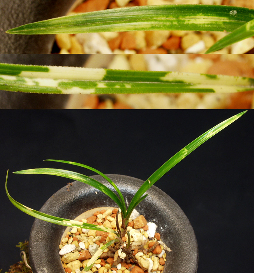 ������ ū������ �� �� �ֽ��ϴ�.