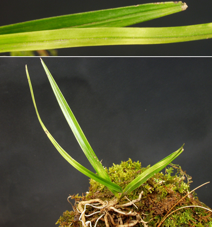 ������ ū������ �� �� �ֽ��ϴ�.