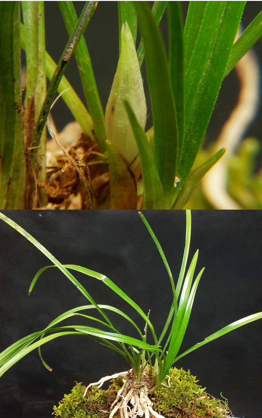 ������ ū������ �� �� �ֽ��ϴ�.