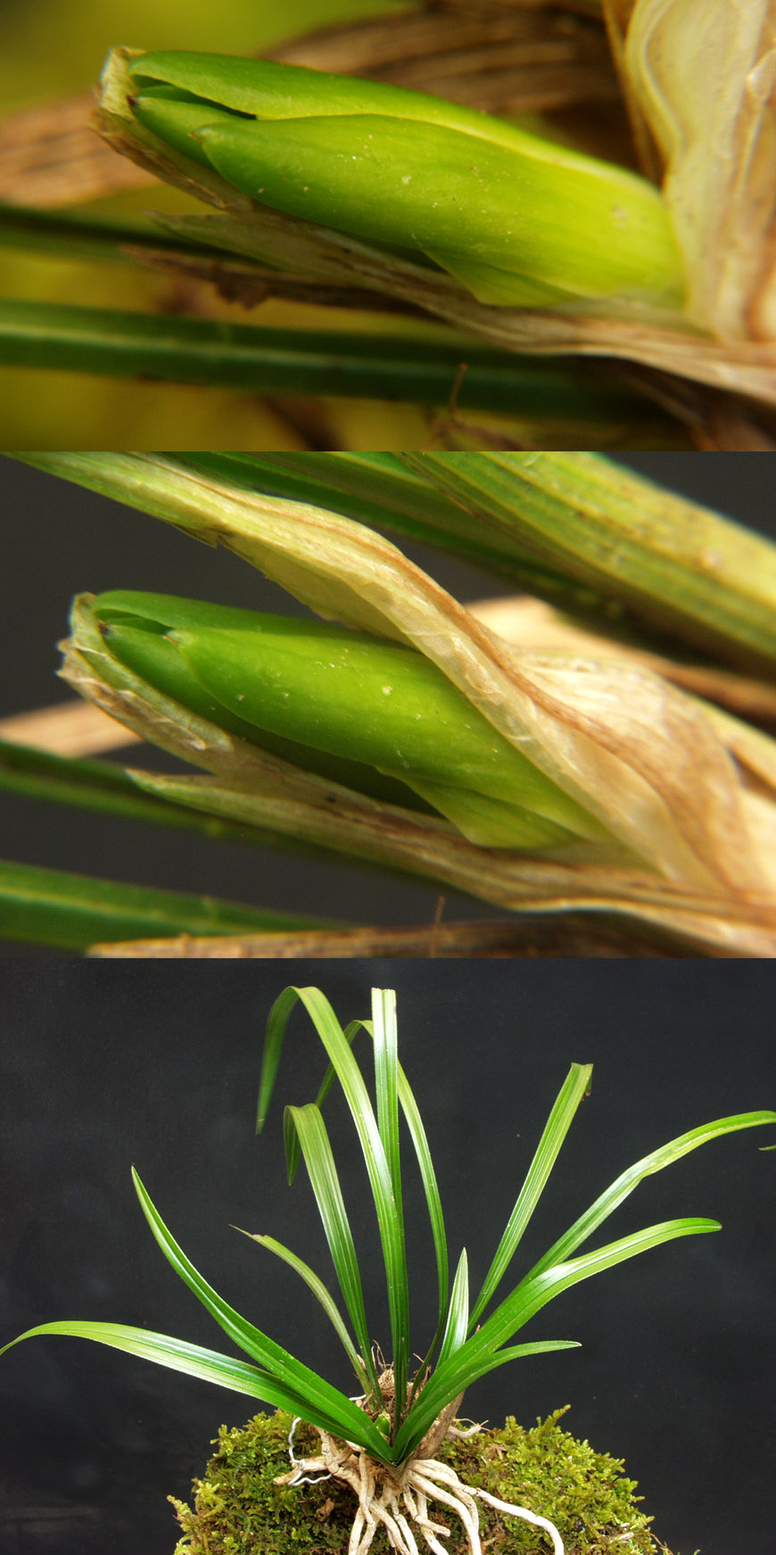 ������ ū������ �� �� �ֽ��ϴ�.