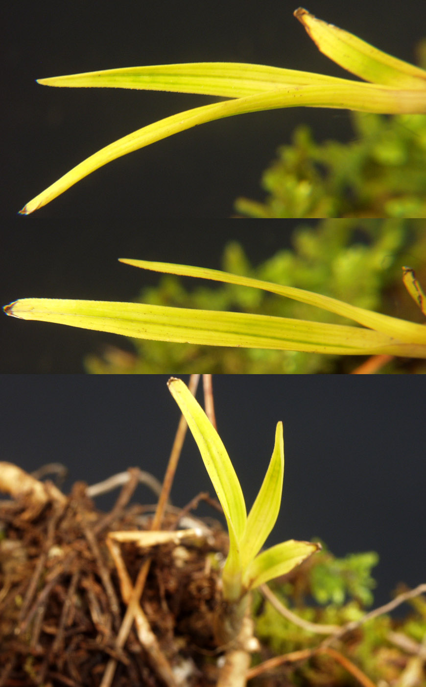 ������ ū������ �� �� �ֽ��ϴ�.