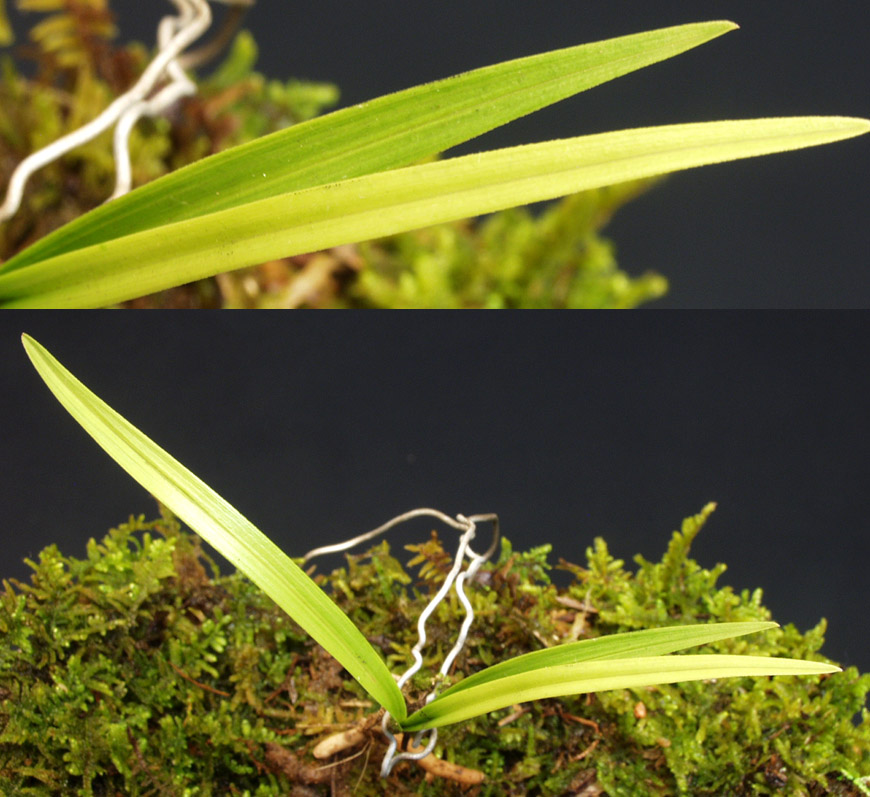 ������ ū������ �� �� �ֽ��ϴ�.