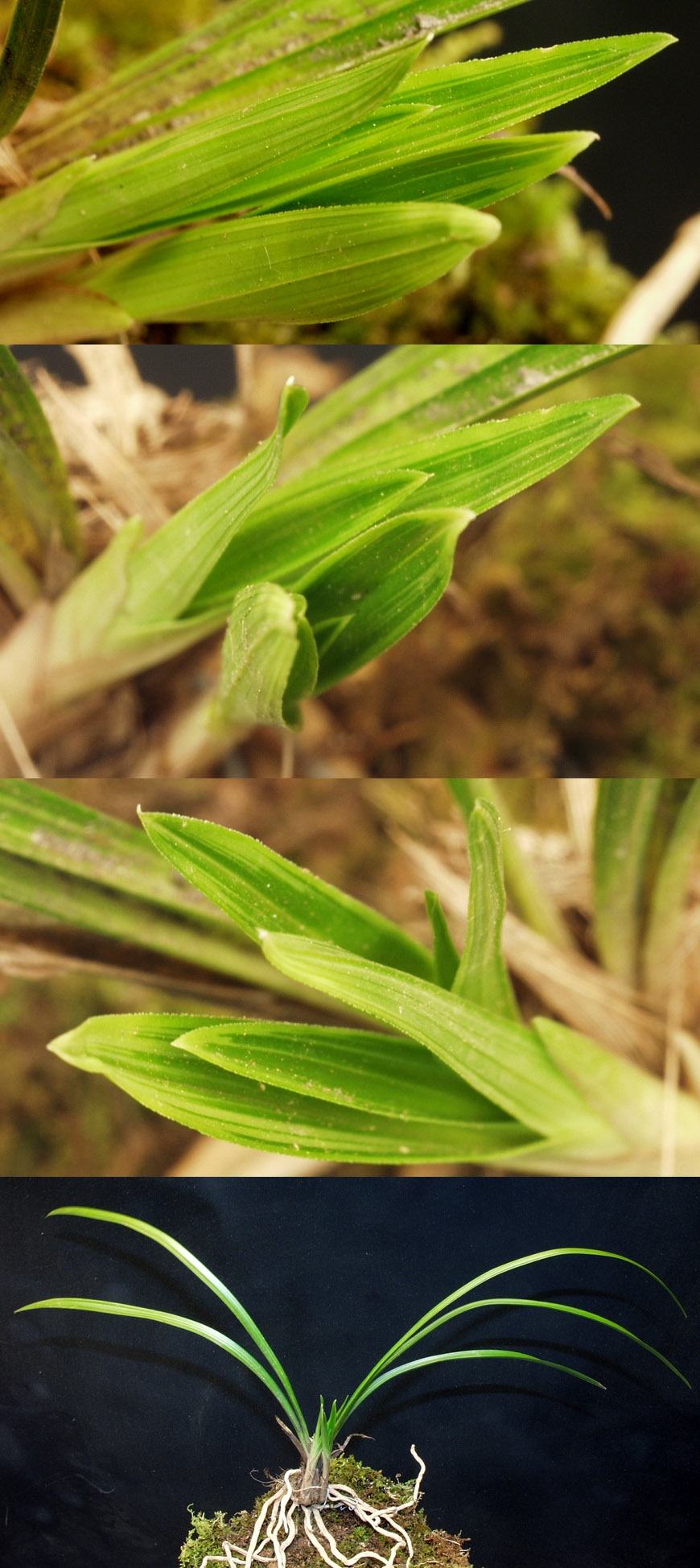 ������ ū������ �� �� �ֽ��ϴ�.