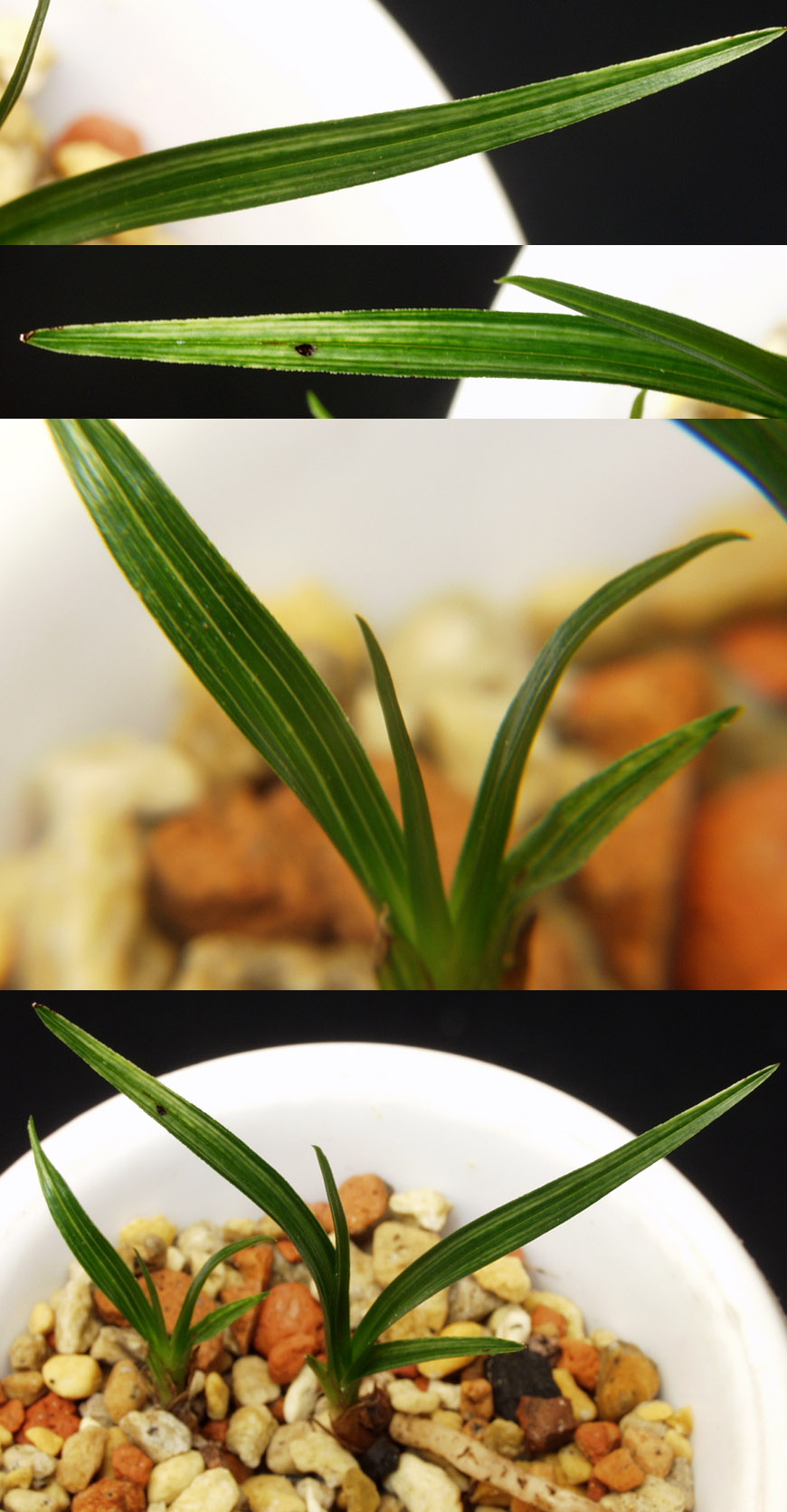 ������ ū������ �� �� �ֽ��ϴ�.