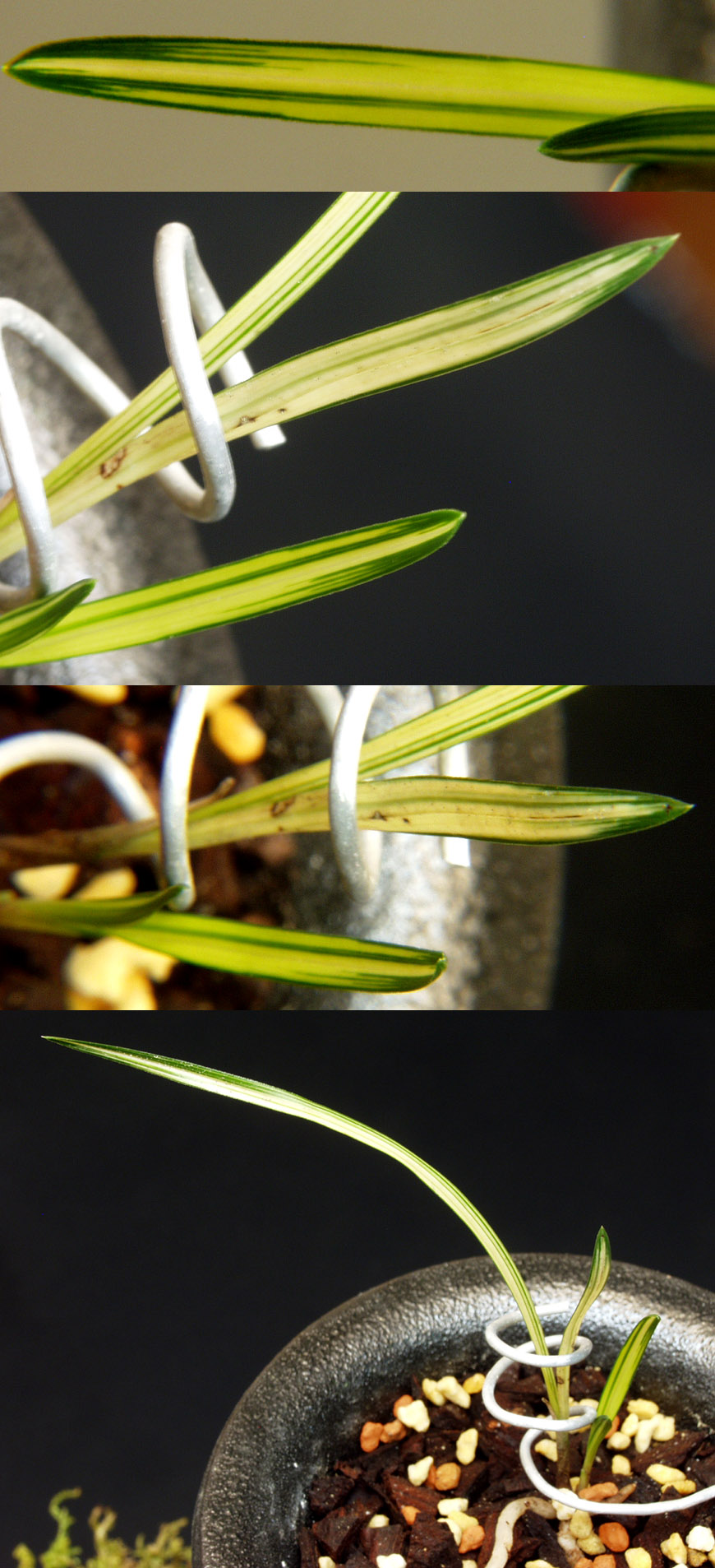 ������ ū������ �� �� �ֽ��ϴ�.