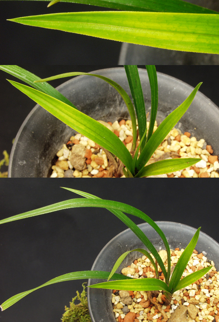 ������ ū������ �� �� �ֽ��ϴ�.