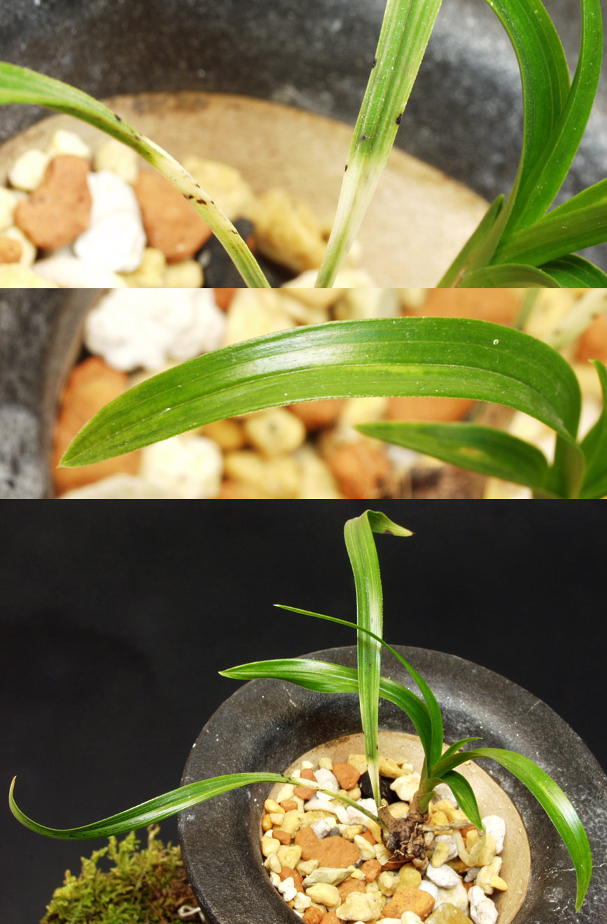 ������ ū������ �� �� �ֽ��ϴ�.