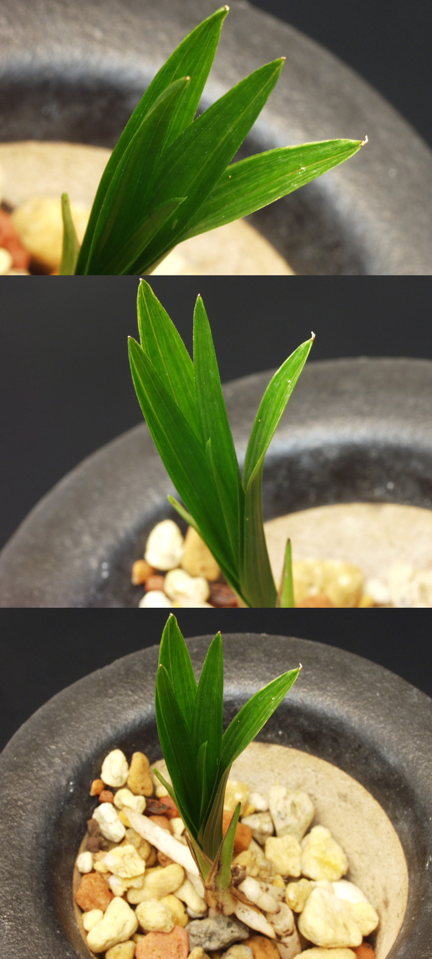 ������ ū������ �� �� �ֽ��ϴ�.