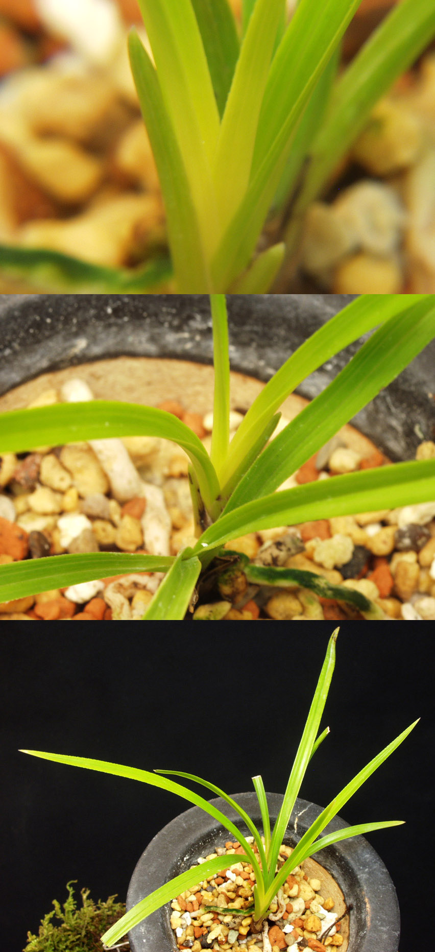 ������ ū������ �� �� �ֽ��ϴ�.