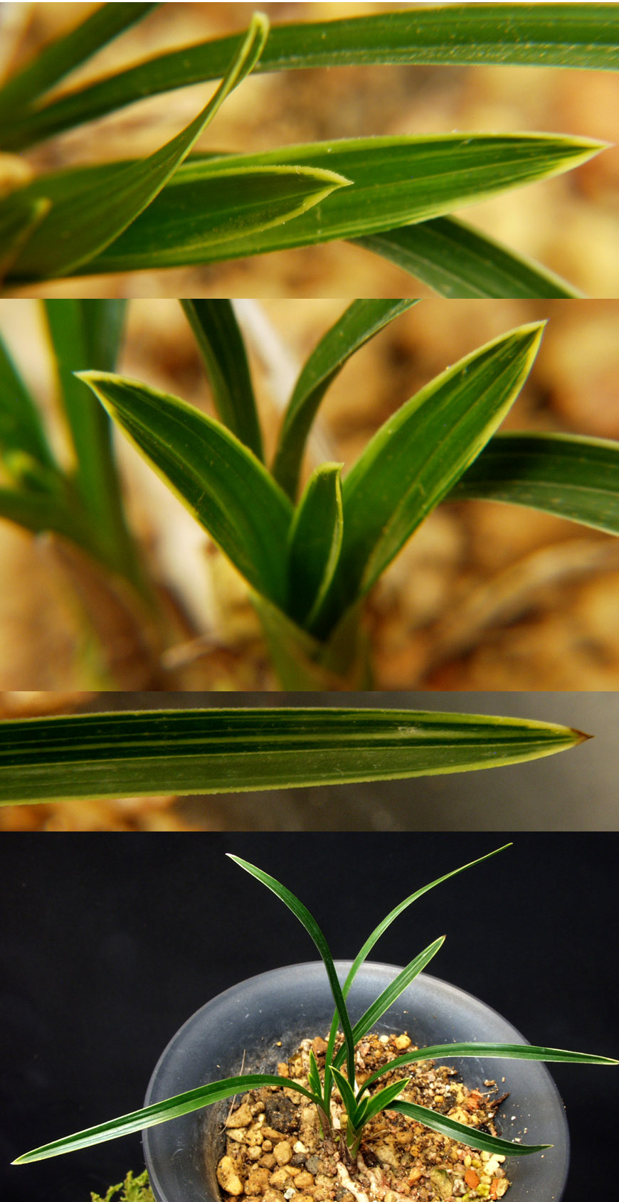 ������ ū������ �� �� �ֽ��ϴ�.