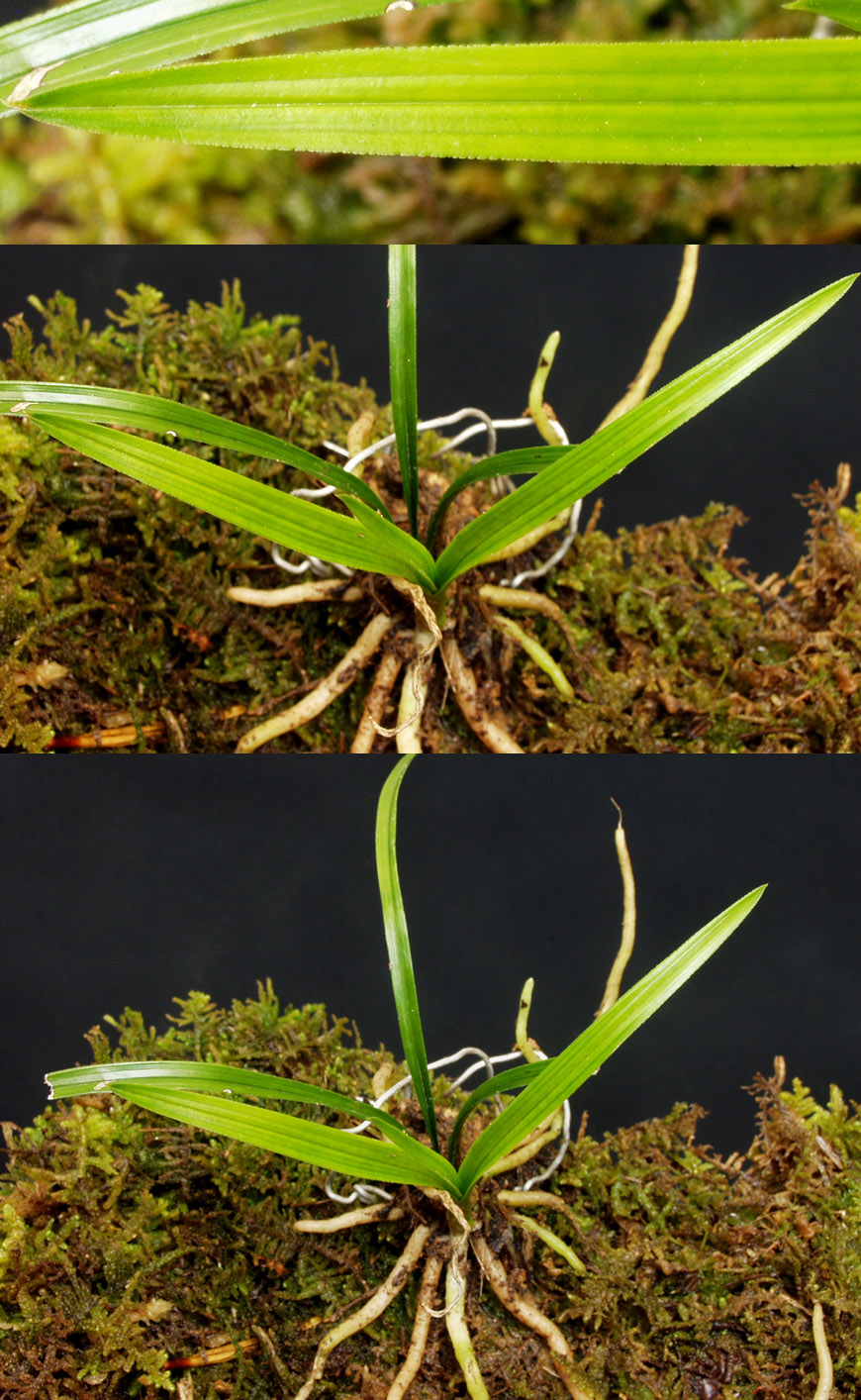 ������ ū������ �� �� �ֽ��ϴ�.