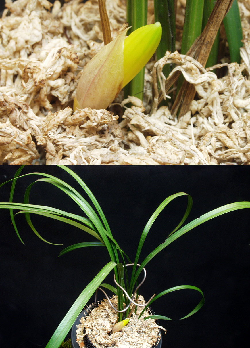 ������ ū������ �� �� �ֽ��ϴ�.