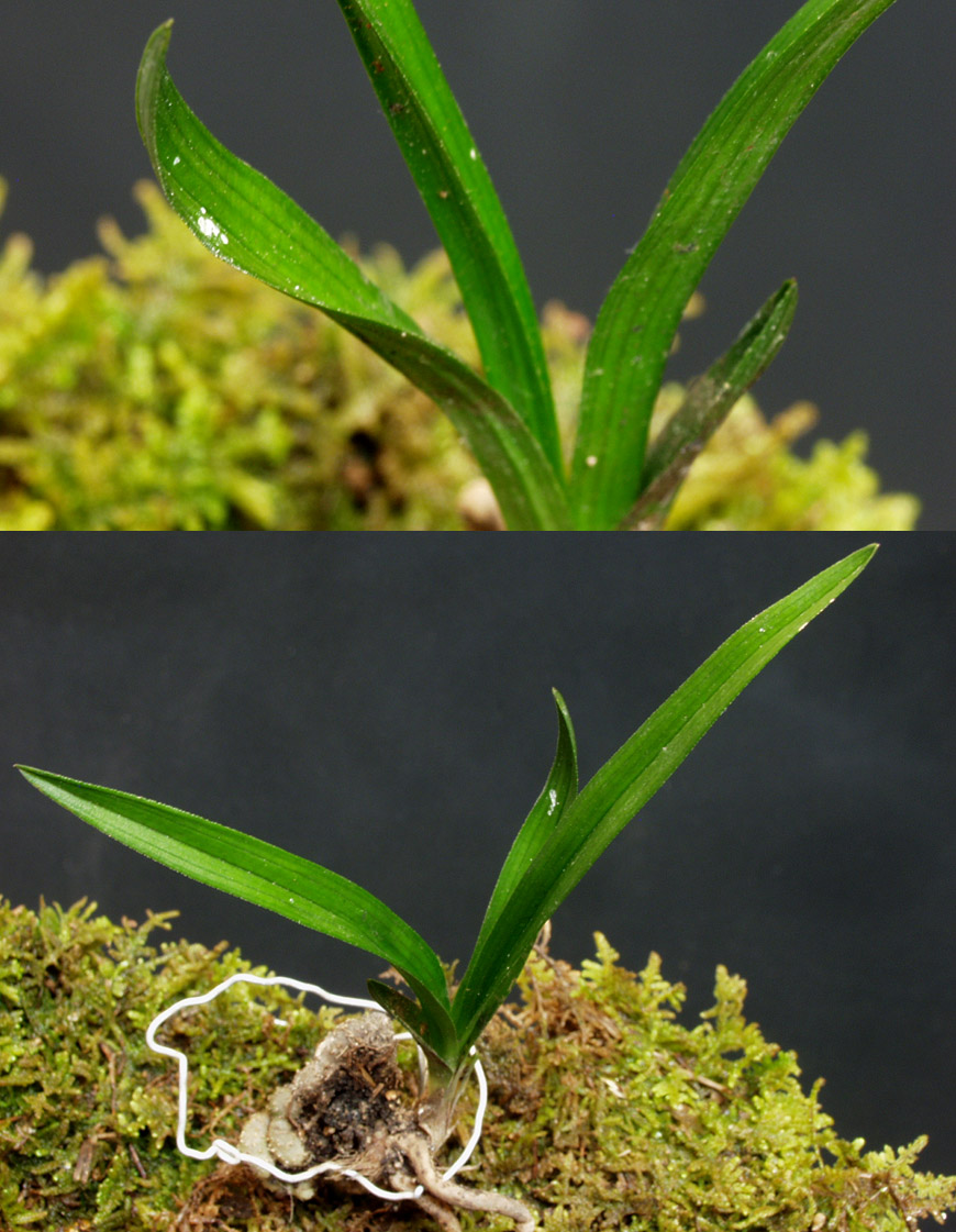 ������ ū������ �� �� �ֽ��ϴ�.