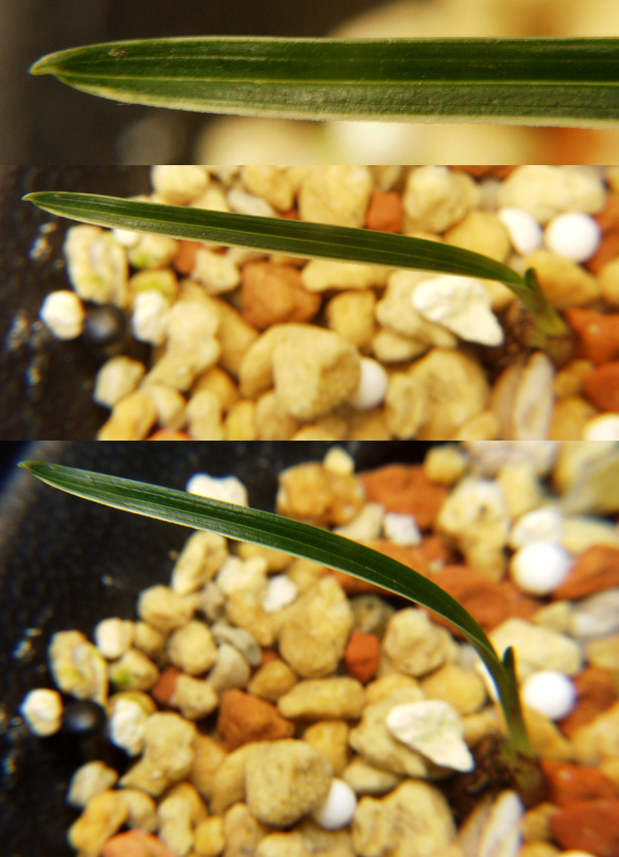 ������ ū������ �� �� �ֽ��ϴ�.