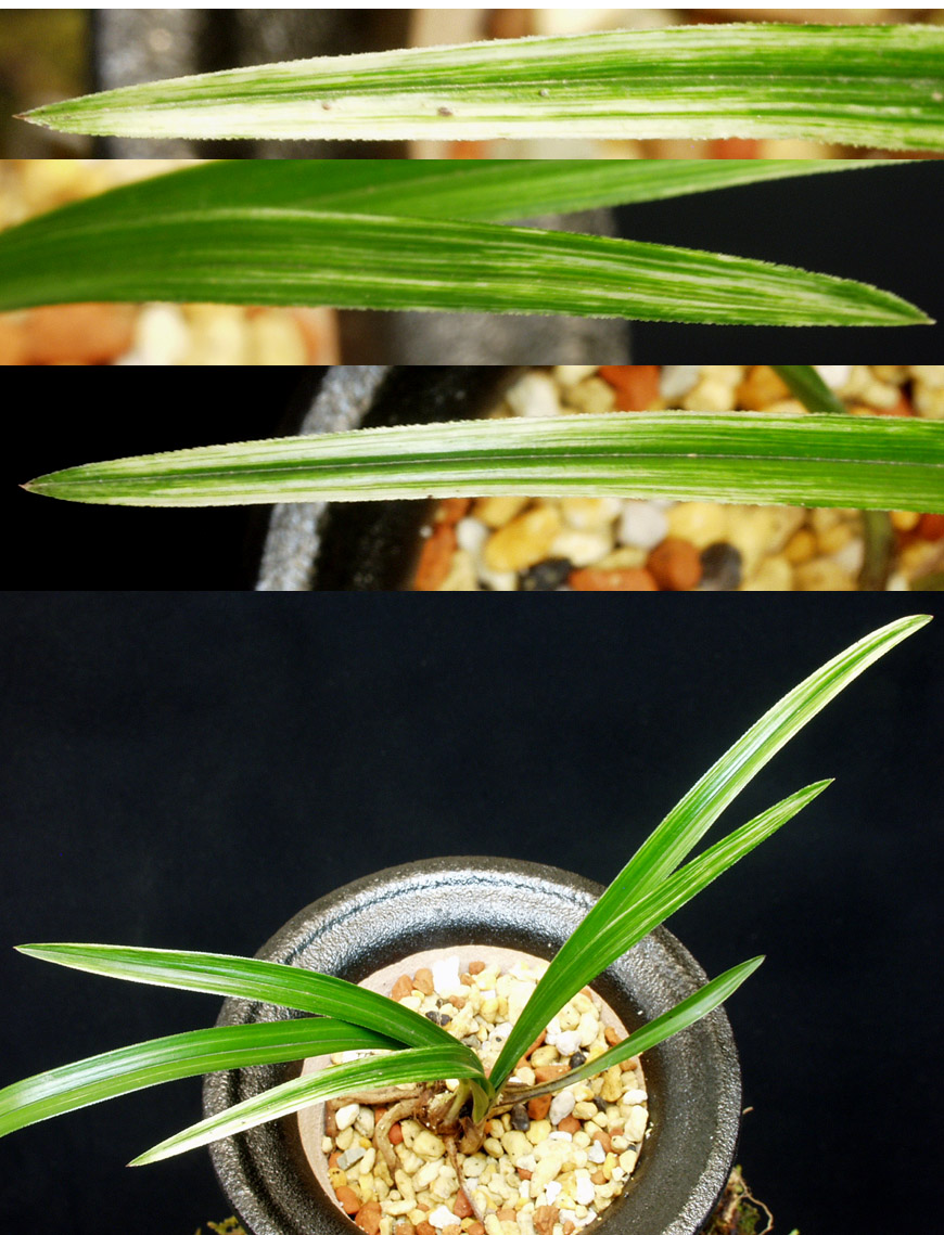 ������ ū������ �� �� �ֽ��ϴ�.