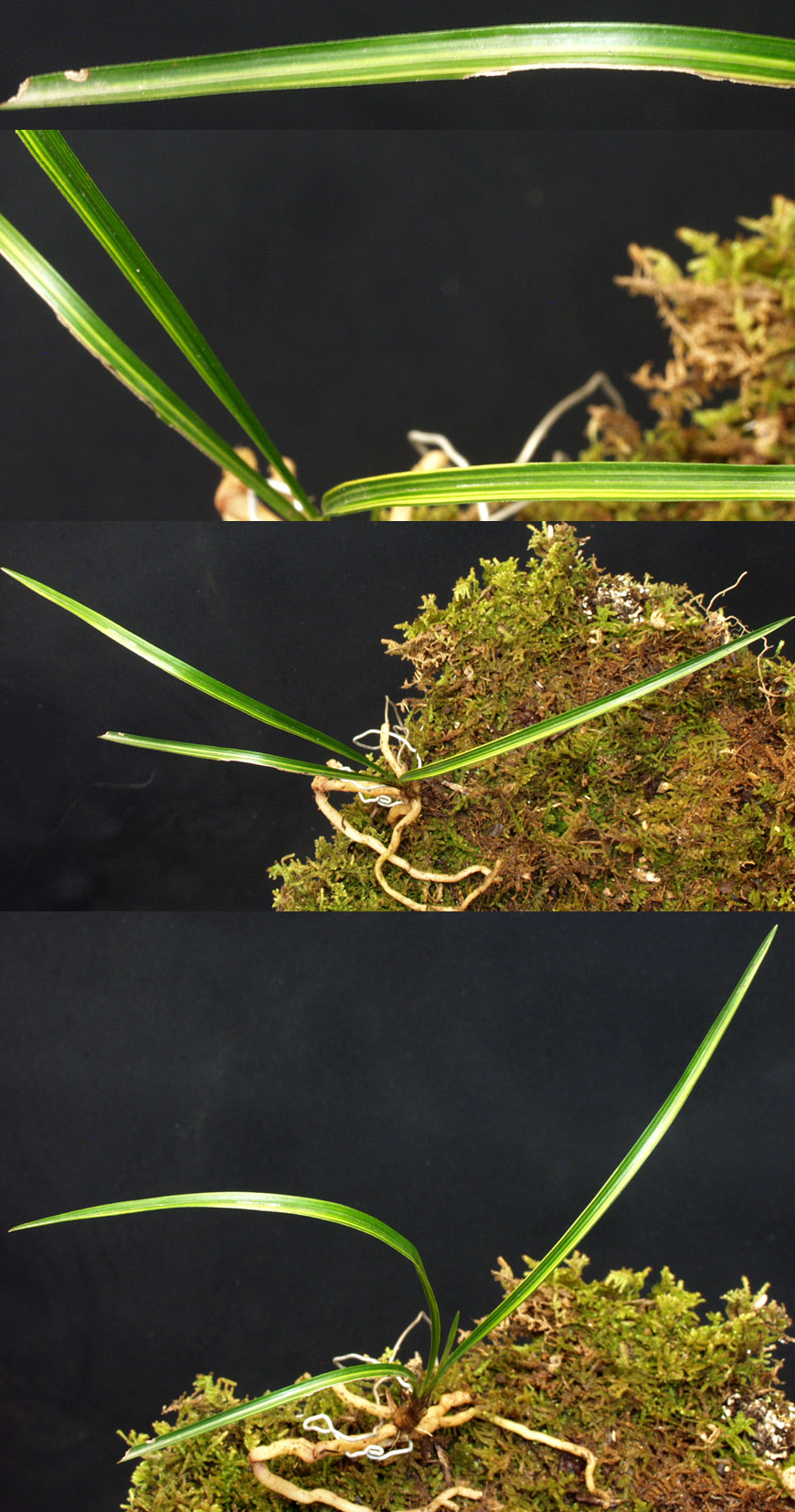 ������ ū������ �� �� �ֽ��ϴ�.