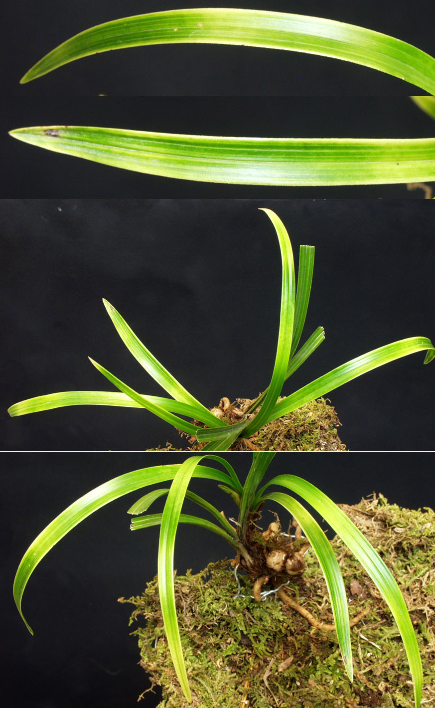 ������ ū������ �� �� �ֽ��ϴ�.