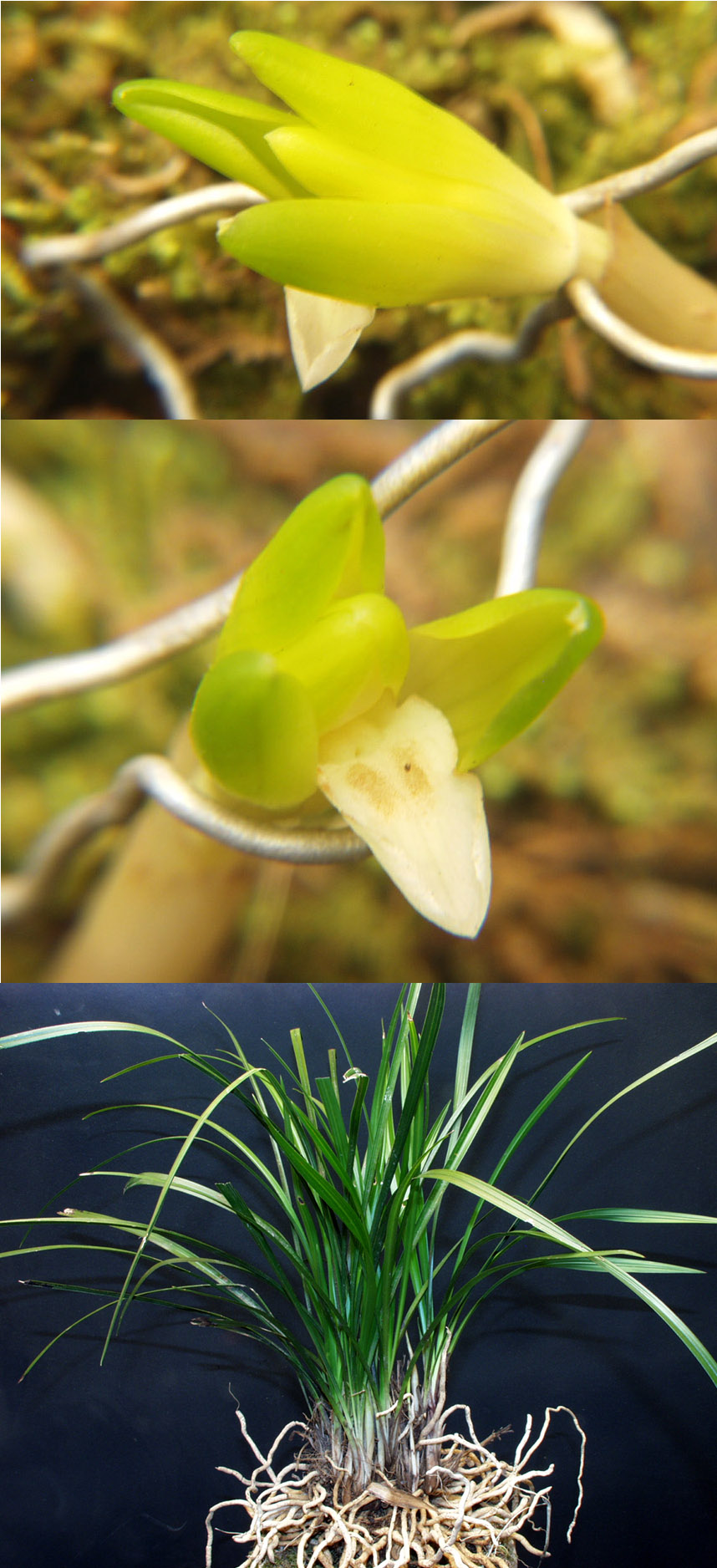 ������ ū������ �� �� �ֽ��ϴ�.