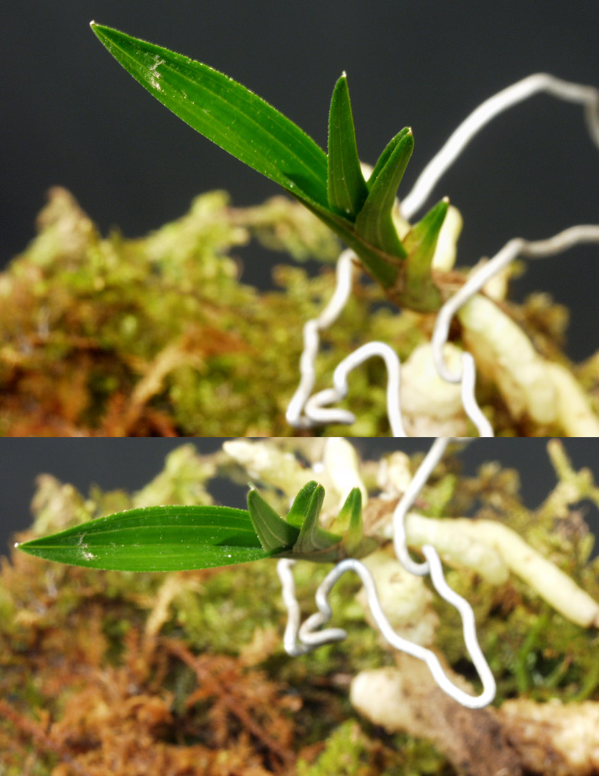 ������ ū������ �� �� �ֽ��ϴ�.