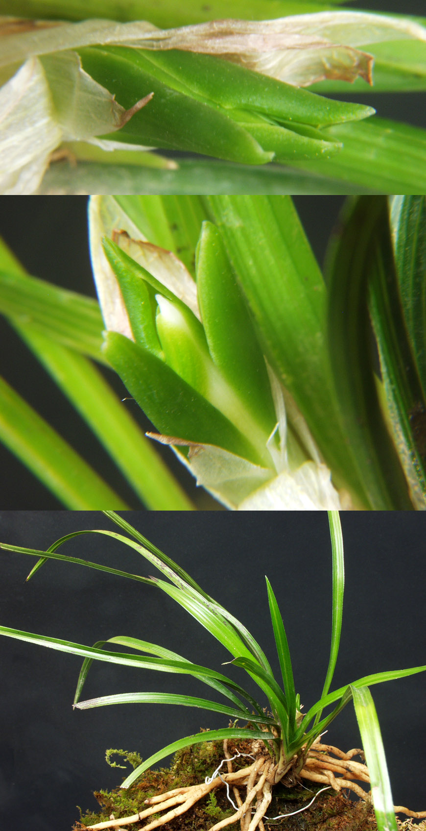 ������ ū������ �� �� �ֽ��ϴ�.