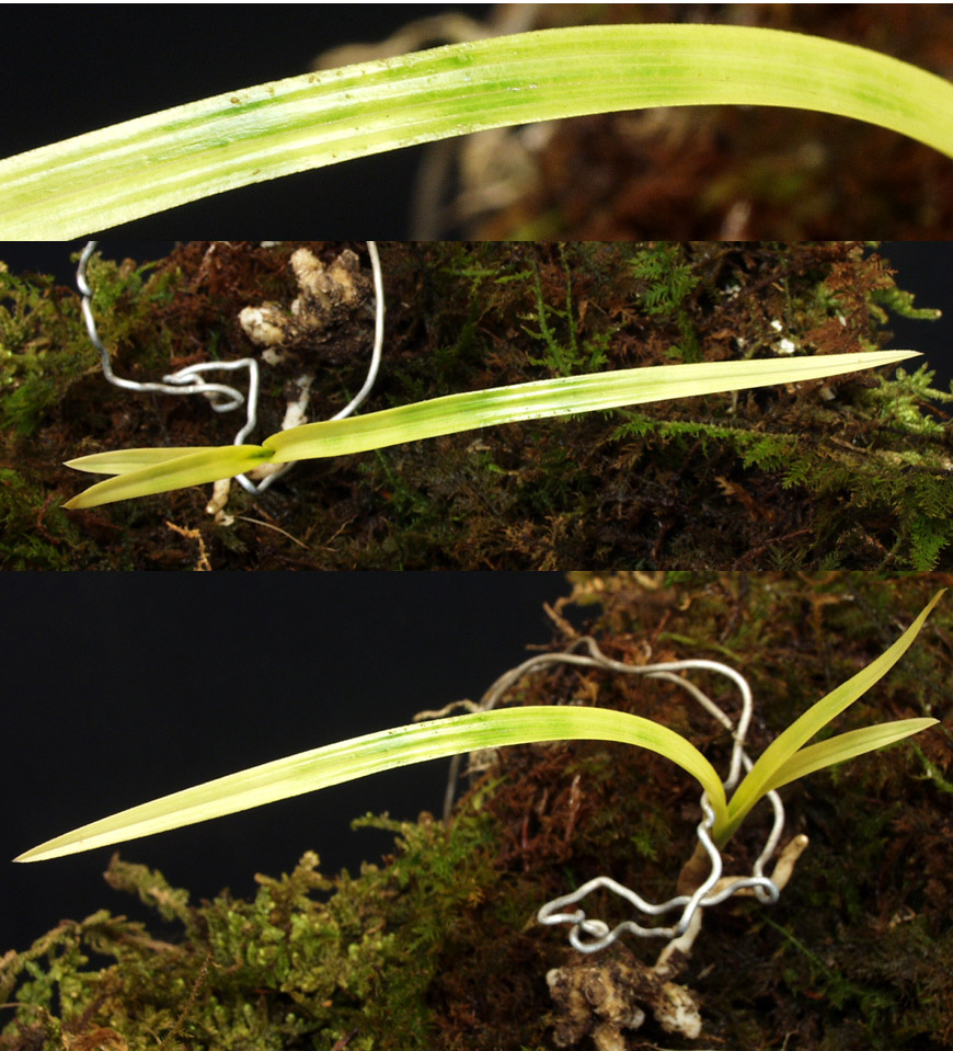 ������ ū������ �� �� �ֽ��ϴ�.