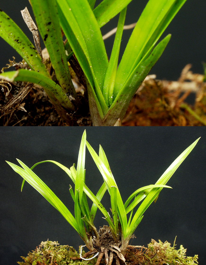 ������ ū������ �� �� �ֽ��ϴ�.