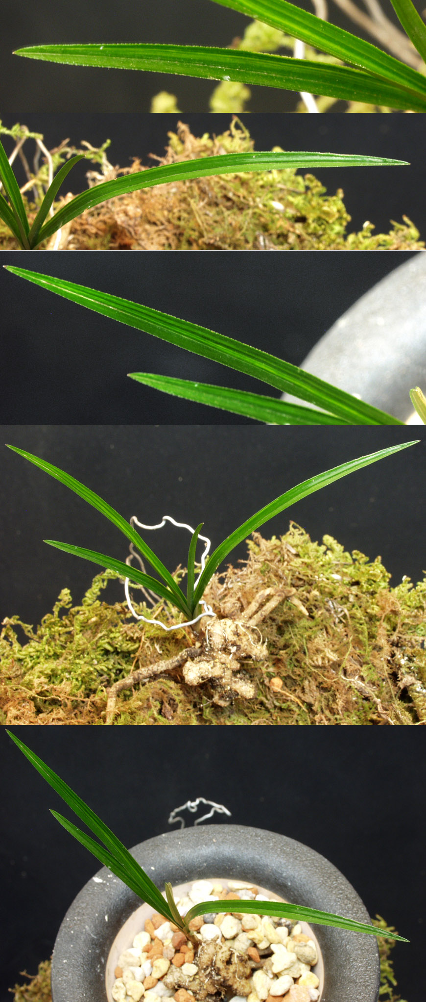 ������ ū������ �� �� �ֽ��ϴ�.