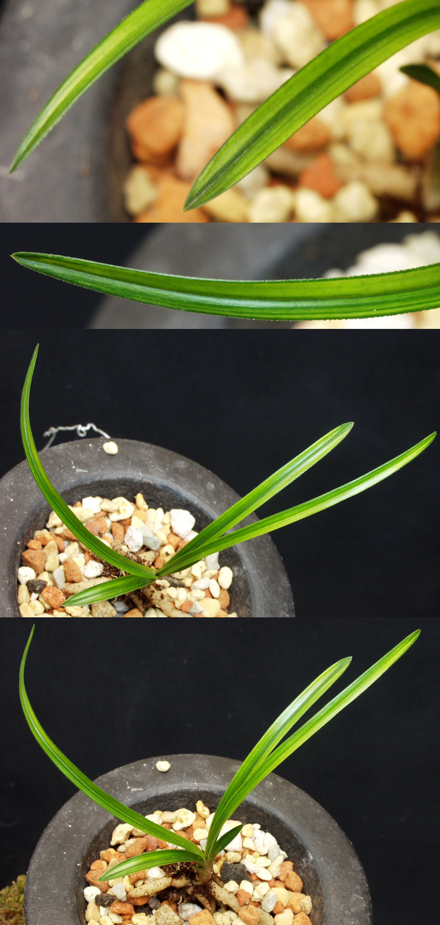 ������ ū������ �� �� �ֽ��ϴ�.