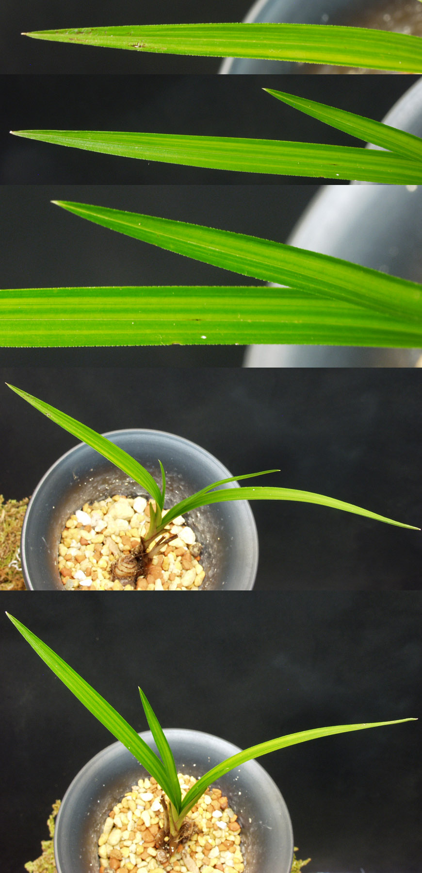 ������ ū������ �� �� �ֽ��ϴ�.