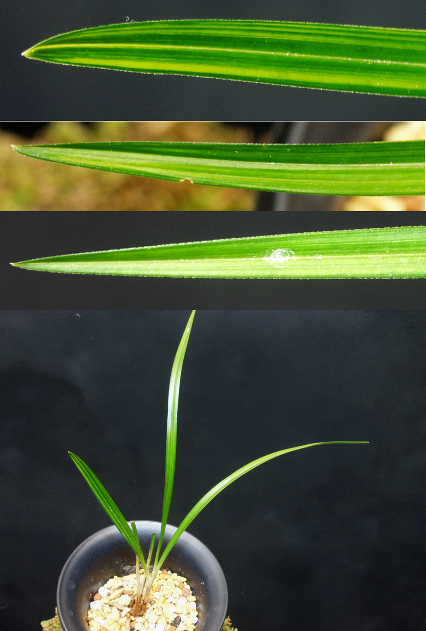 ������ ū������ �� �� �ֽ��ϴ�.