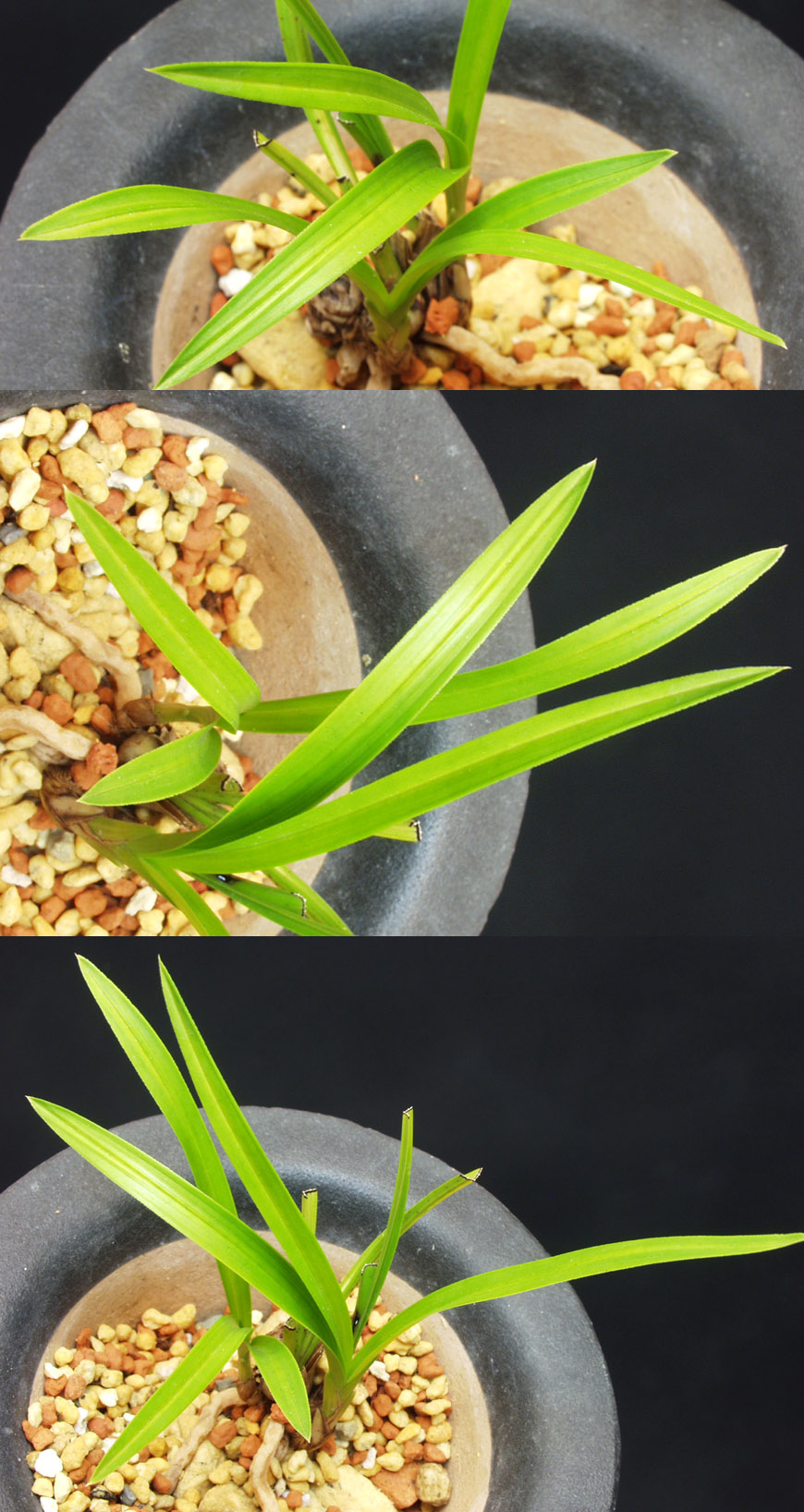 ������ ū������ �� �� �ֽ��ϴ�.