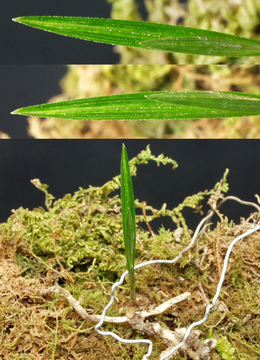 ������ ū������ �� �� �ֽ��ϴ�.