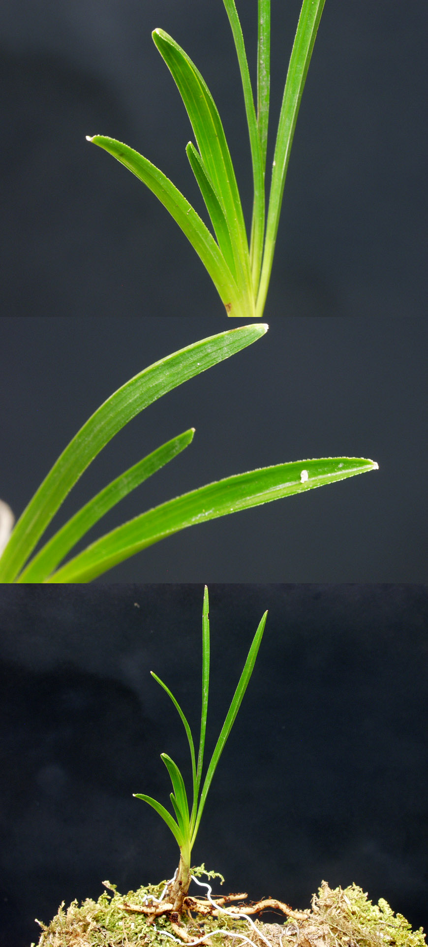 ������ ū������ �� �� �ֽ��ϴ�.