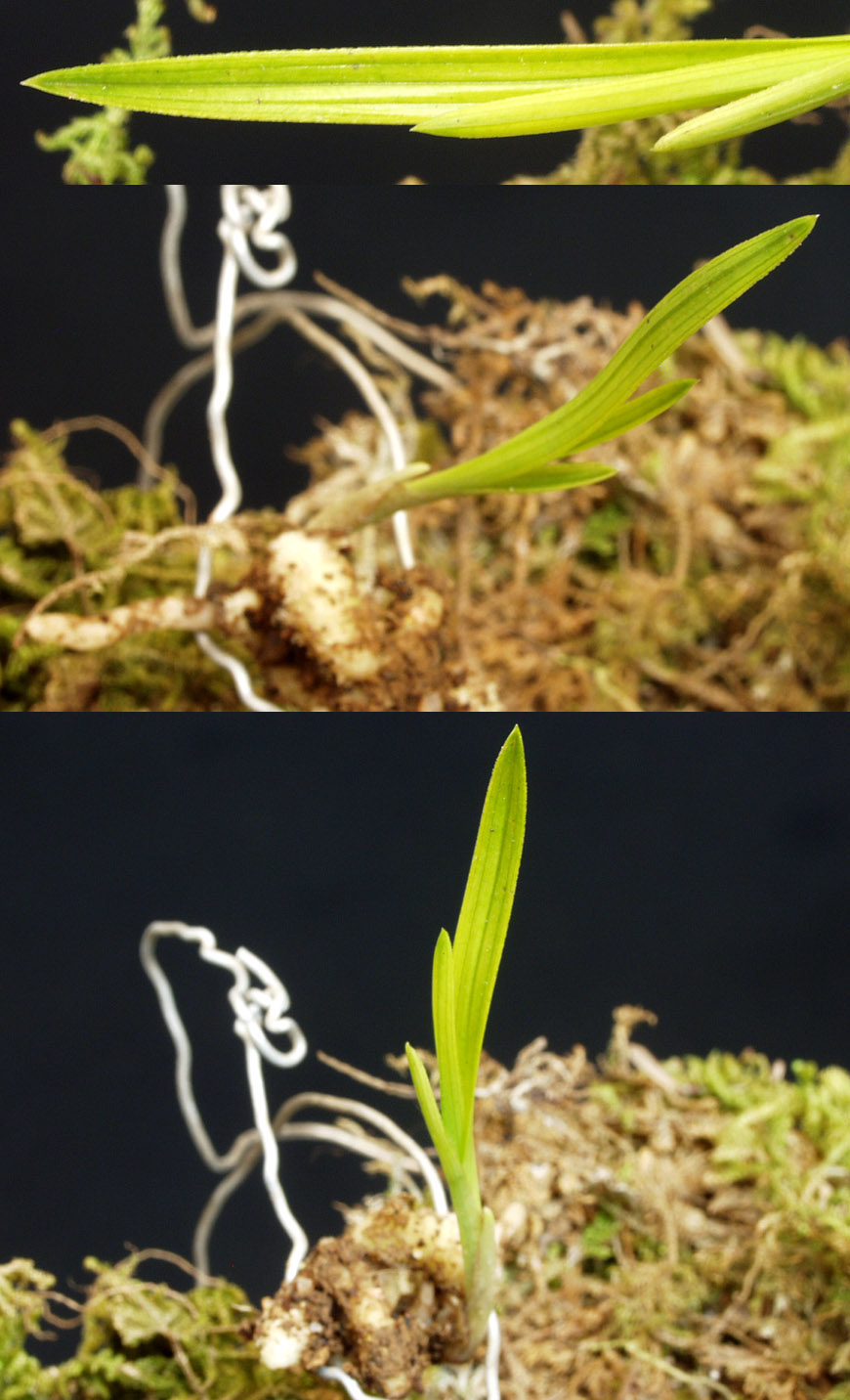 ������ ū������ �� �� �ֽ��ϴ�.