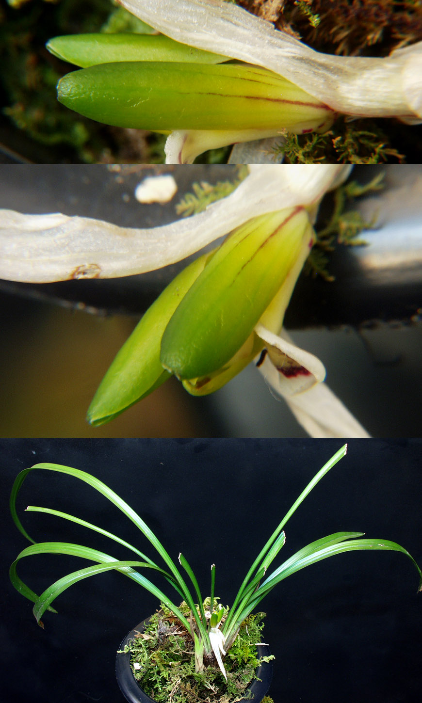 ������ ū������ �� �� �ֽ��ϴ�.