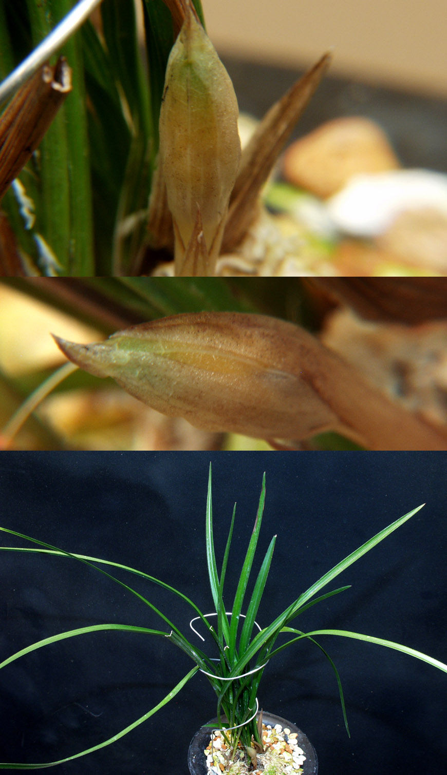 ������ ū������ �� �� �ֽ��ϴ�.