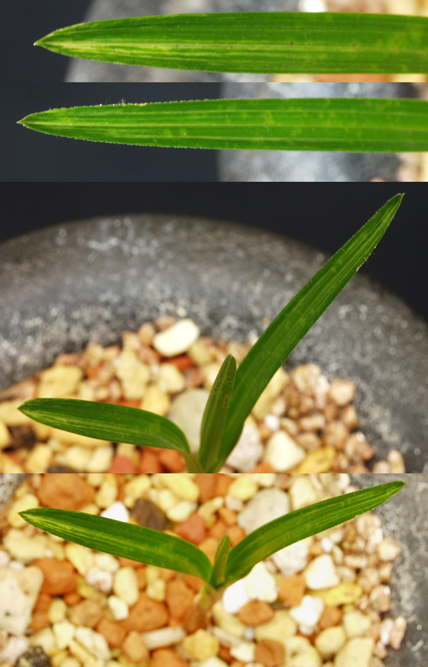 ������ ū������ �� �� �ֽ��ϴ�.