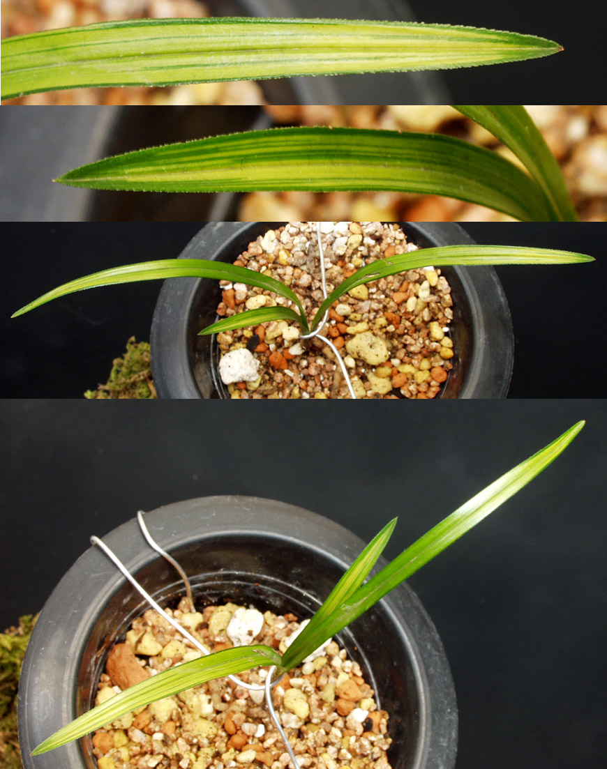 ������ ū������ �� �� �ֽ��ϴ�.