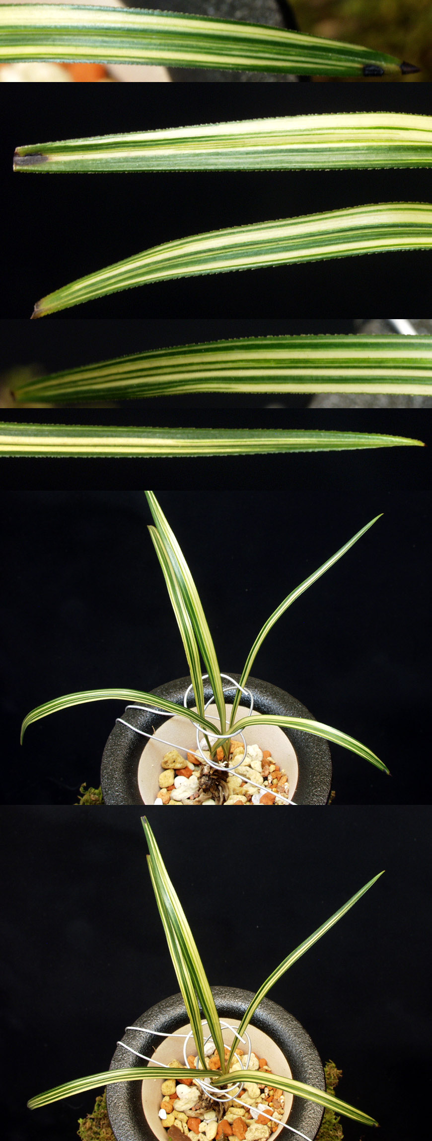 ������ ū������ �� �� �ֽ��ϴ�.