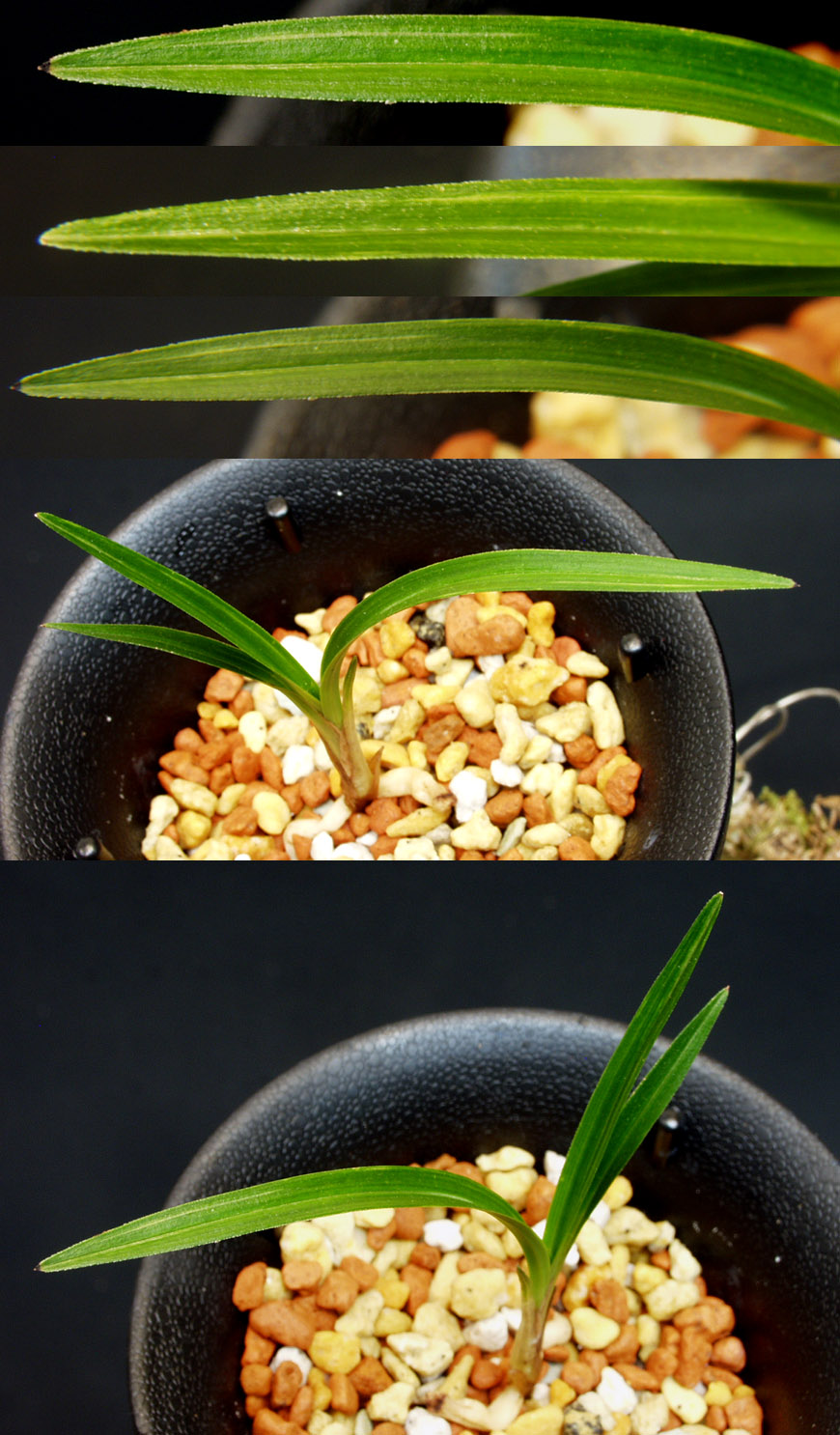 ������ ū������ �� �� �ֽ��ϴ�.