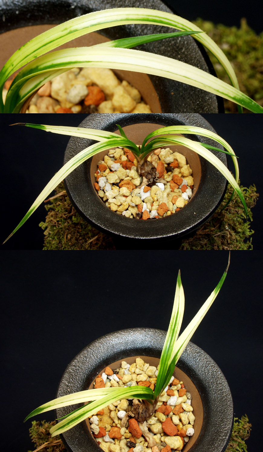 ������ ū������ �� �� �ֽ��ϴ�.