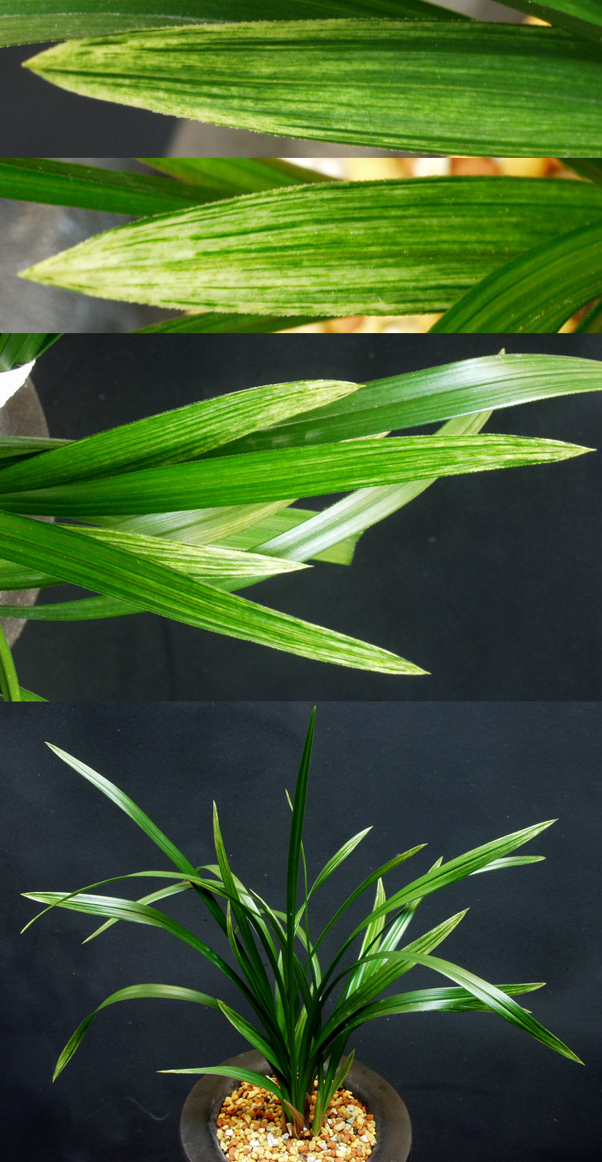 ������ ū������ �� �� �ֽ��ϴ�.