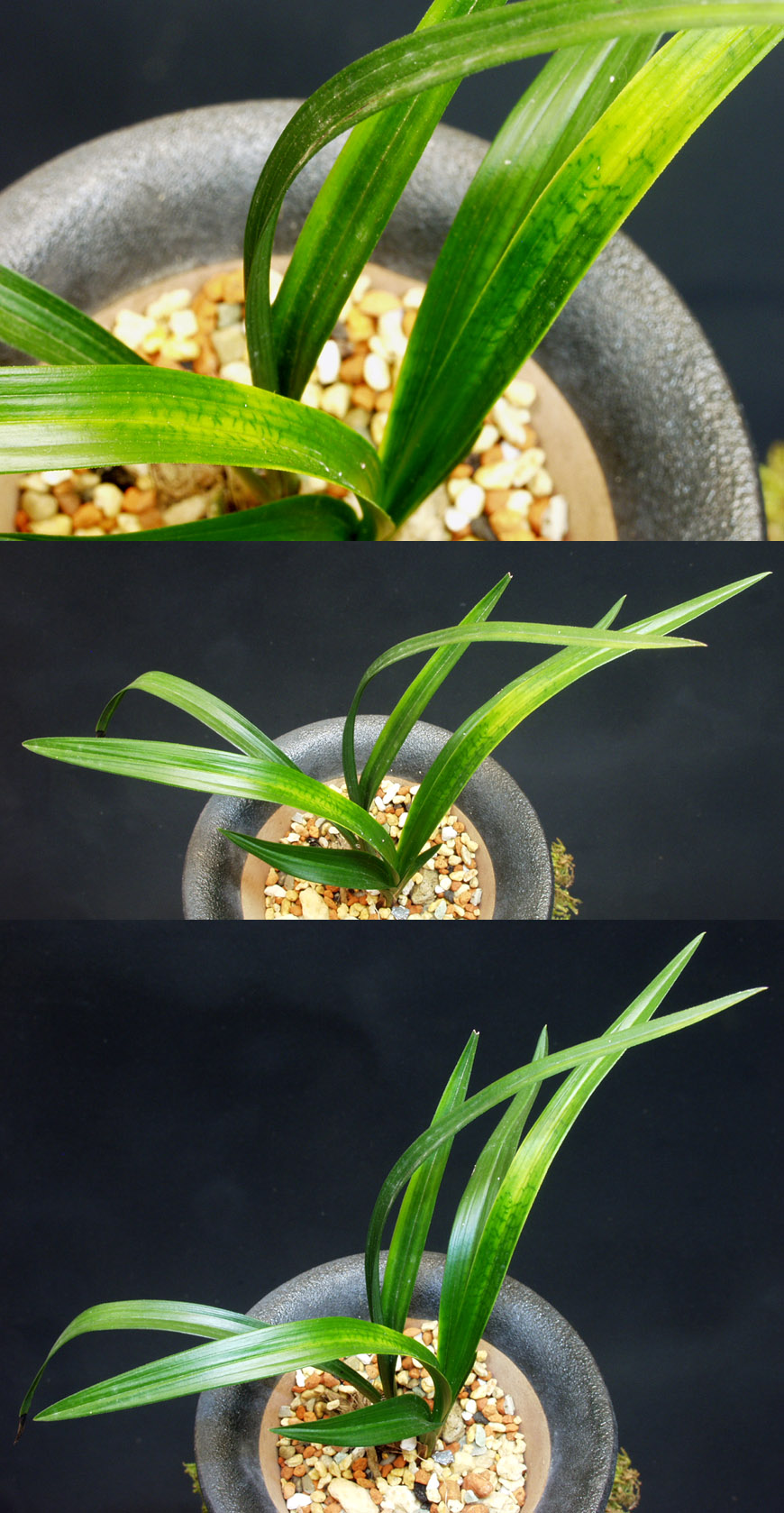 ������ ū������ �� �� �ֽ��ϴ�.