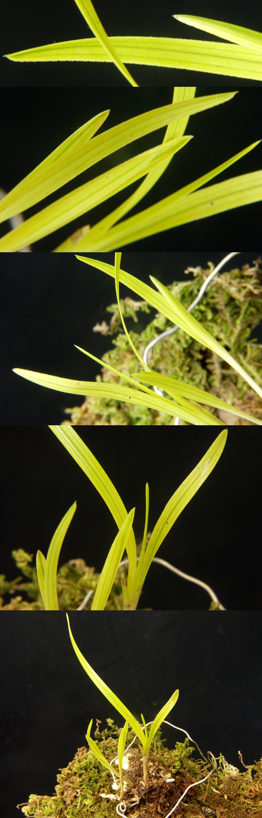 ������ ū������ �� �� �ֽ��ϴ�.